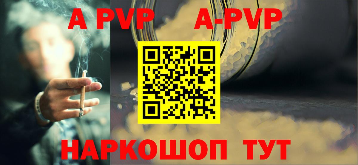 Альфа ПВП СК Можга