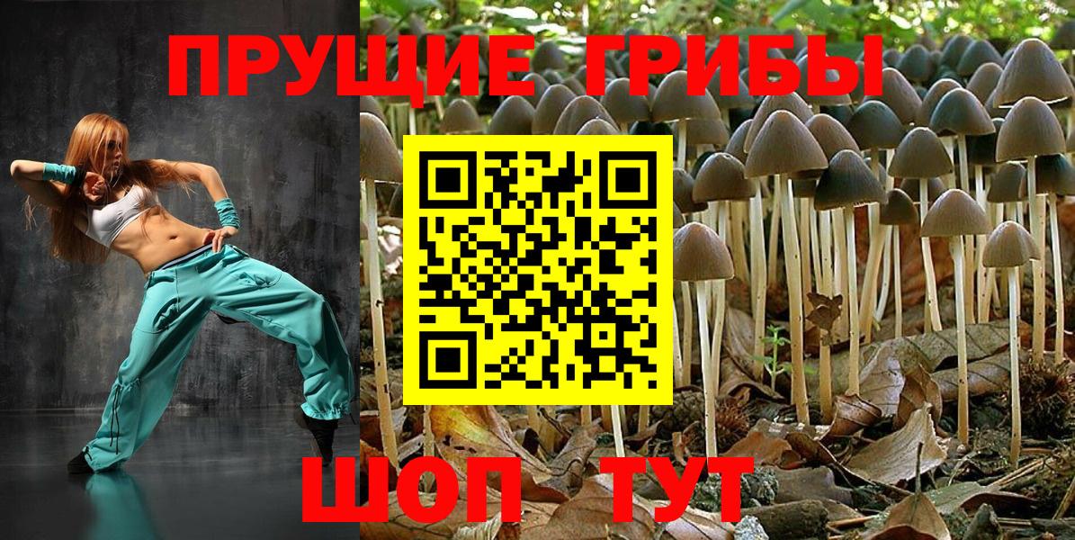 Галлюциногенные грибы Psilocybe Можга