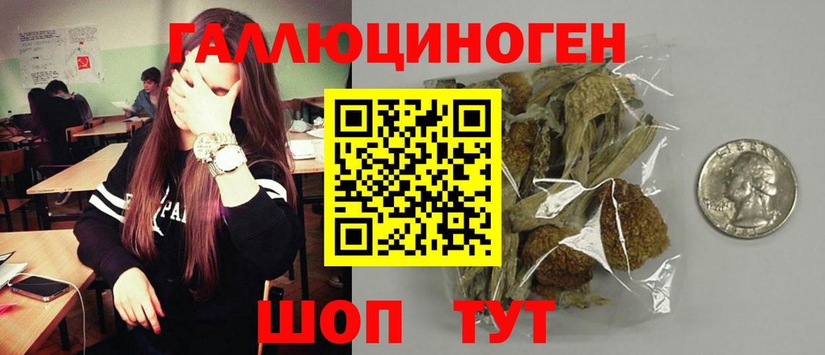 Можга  Псилоцибиновые грибы мухоморы  Вход с VPN 