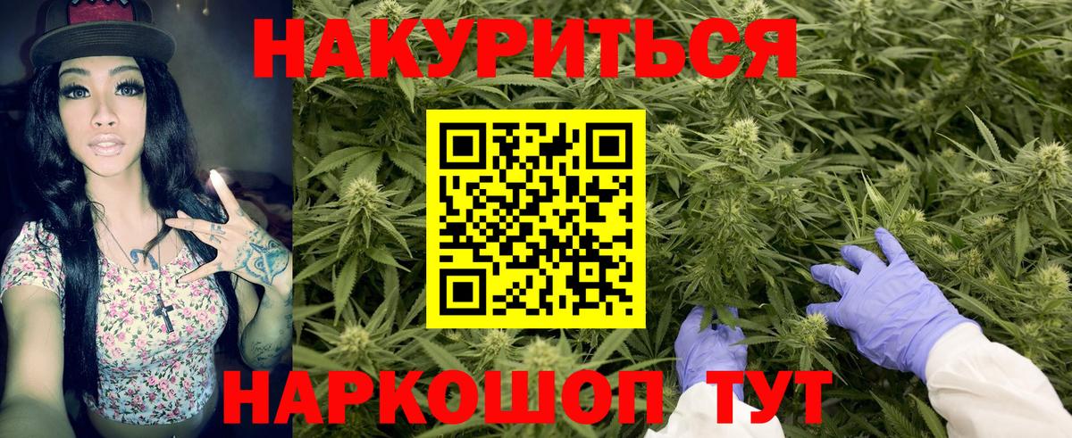Канабис OG Kush Можга